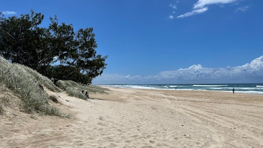 Tragedy Hits Central Coast As Swimmer Drowns In Fateful Soldiers Beach Incident second image