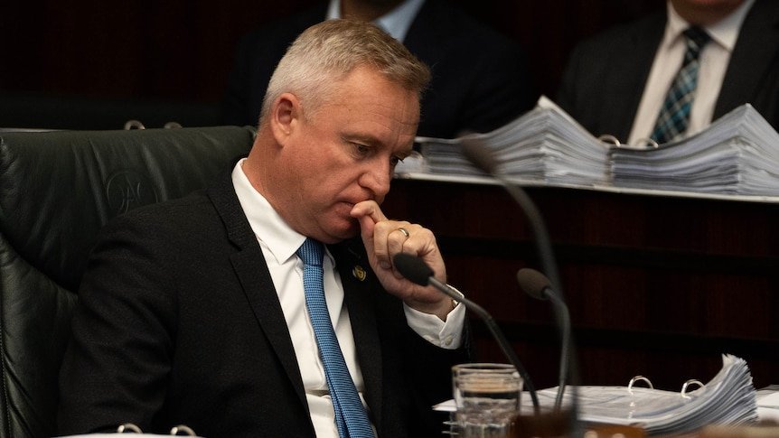 Tasmanian MPs Score Massive 22 Per Cent Pay Rise Worth $30,000 Despite Government Fury second image