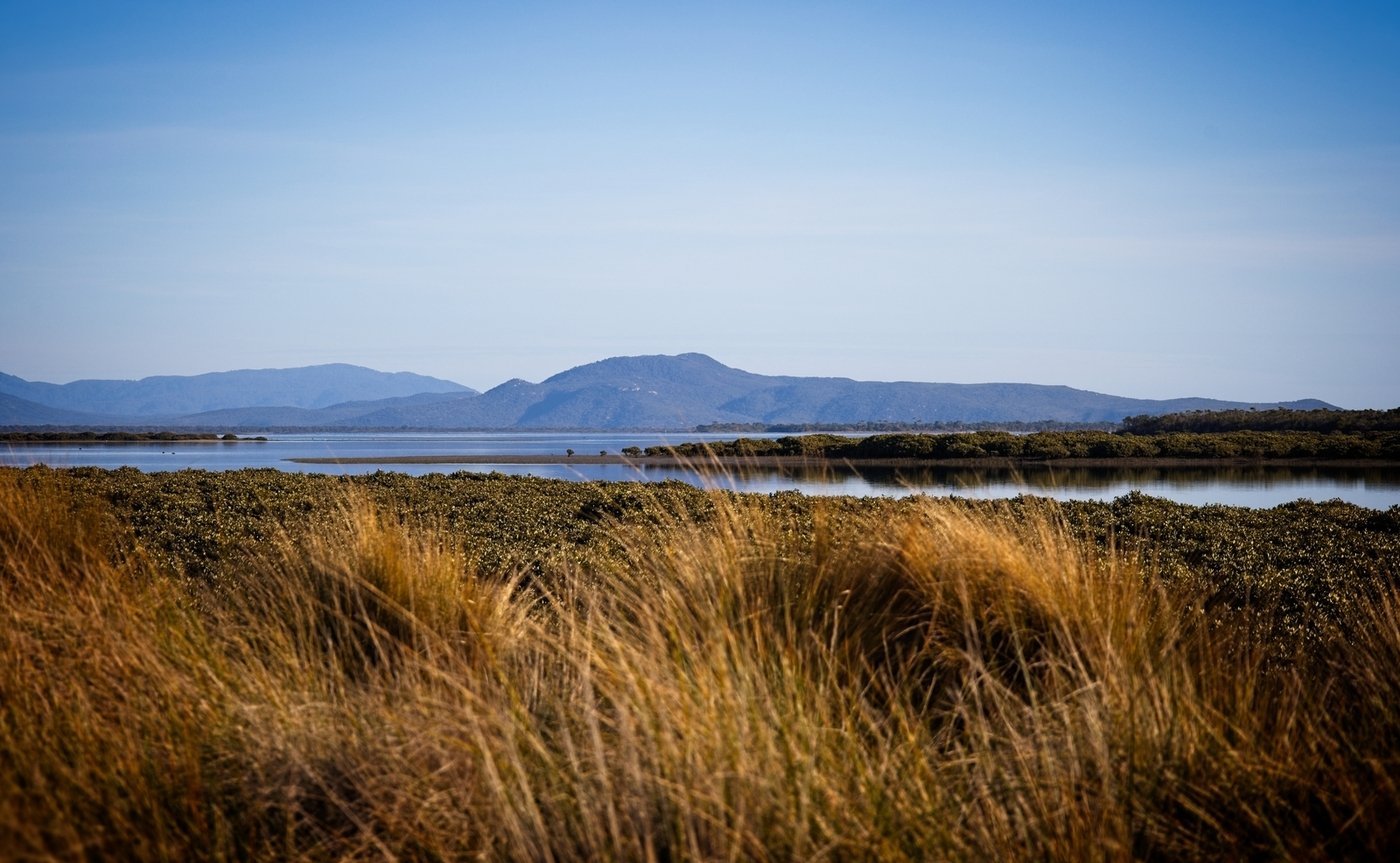 Prized Australian Islands Saved From Ruin By Selfless Conservation Heroes! second image