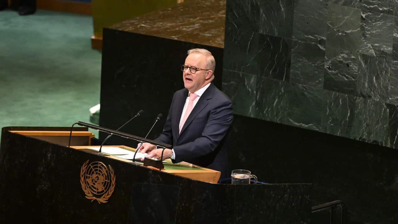 Albanese Throws Down The Gauntlet To Trump On Climate Change And Gaza Crisis At UN Showdown! second image