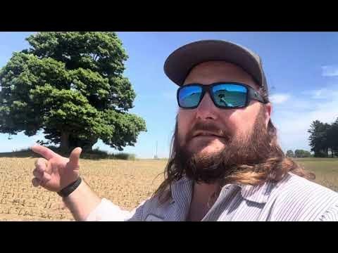 Queensland’s Tree Clearing CatastropheAfter Cattle Farmers Wipe Out 330,000 Hectares