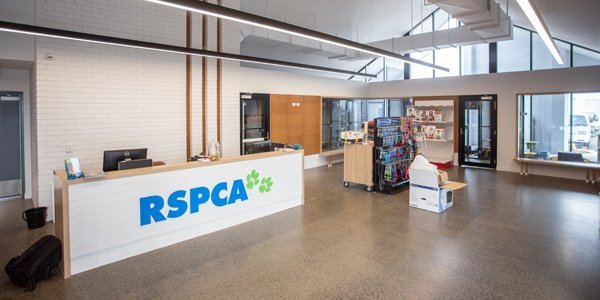 'beloved' Pet Euthanased After Being Mistaken For Feral Cat second image