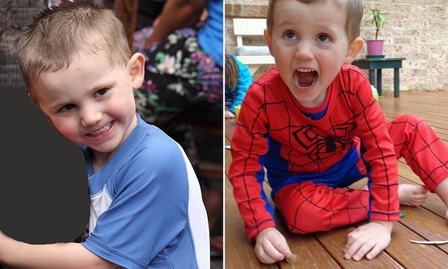 Spider-Man Suit Sparks Hope in William Tyrrell Case second image