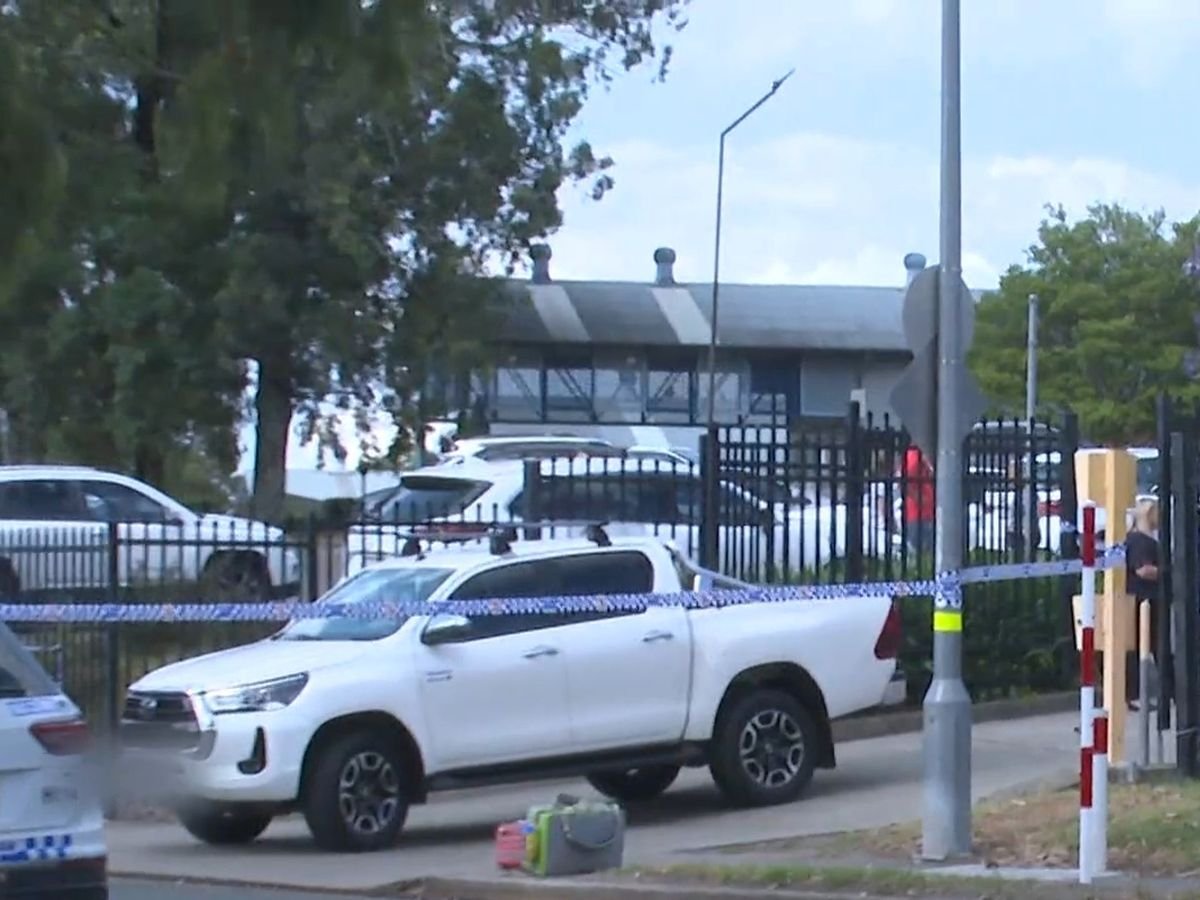 Toddler Killed in Horror Scooter Crash with HiLux in Sydney's West second image