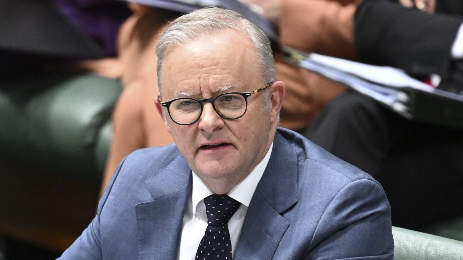 LABOR EXPOSED: Shadow Minister Slams Albanese Over Gaza Peace Deal