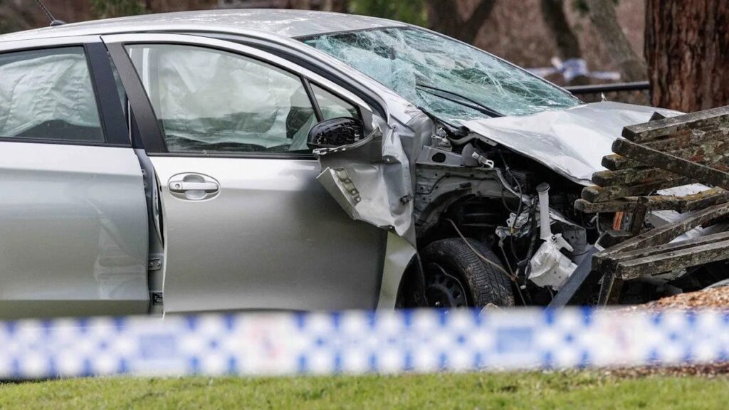 Girl, 11, Dies, Brother, 4, Clings to Life in Horrific Crash