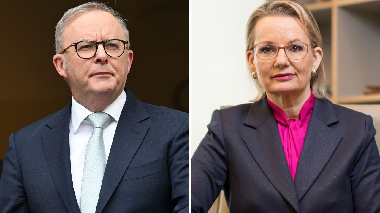 LABOR EXPOSED: Shadow Minister Slams Albanese Over Gaza Peace Deal second image