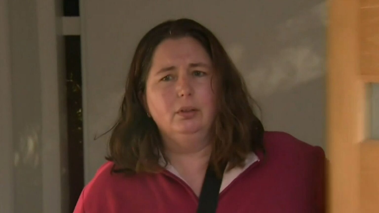 Mushroom Murderer Erin Patterson Appeals Convictions for Killing Three Family Members