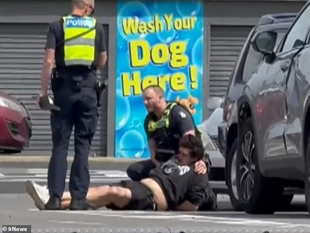 Brazen Thieves Unleash Chaos in Bunnings Car Park