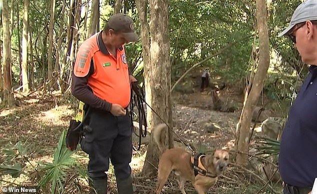 Chilling Twist After Three-year-old Girl Was Abducted Outside This Toilet Block At A Popular Beach In Australia second image