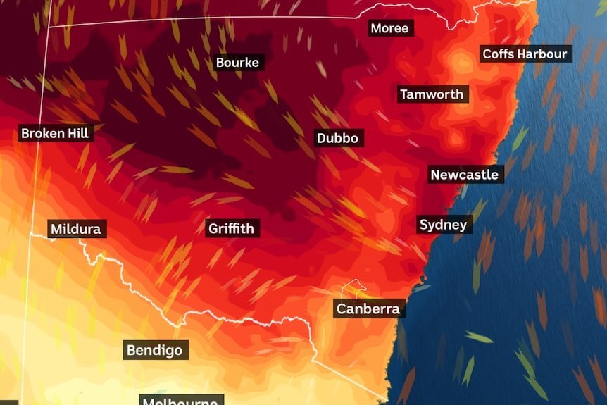 Sydney Sizzles Through Its Warmest Night in 7 Months