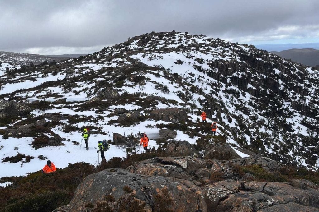 Desperate Search Enters 7th Day for Bushwalker Lost In Tasmania