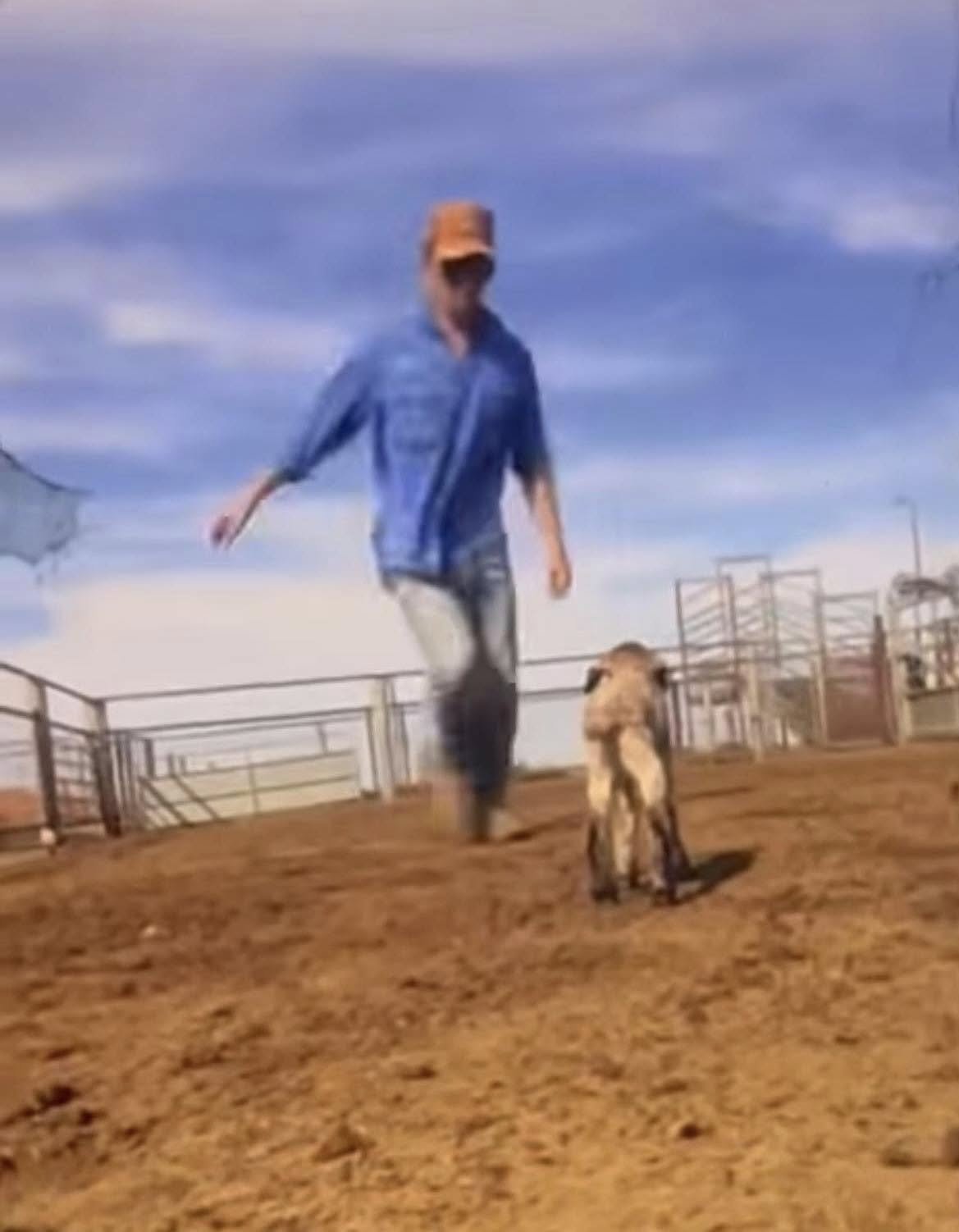 Sicko Animal Abuser Walks Free After Just 2.5 Months Behind Bars second image