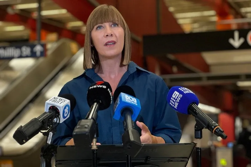 Nt Labor Leader Misuses Taxpayer-funded Chauffeur Service For Private Trips second image