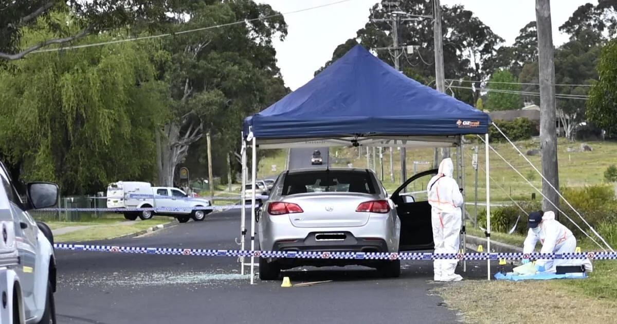 Homicide Squad Investigates After Man's Body Found In Nsw Park second image