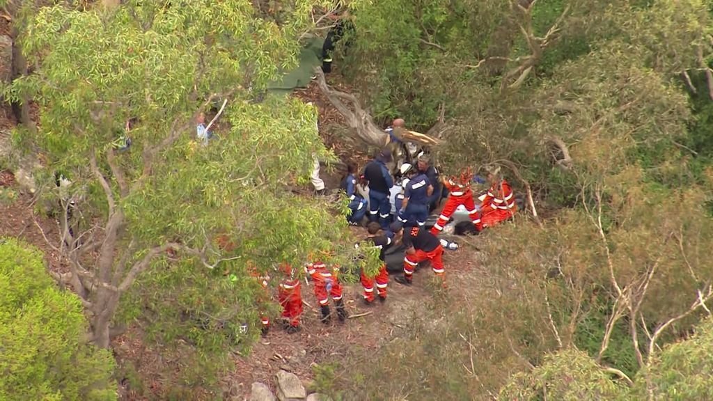 Missing Hiker Found Alive in Victorian Bushland After Nine-Day Ordeal second image