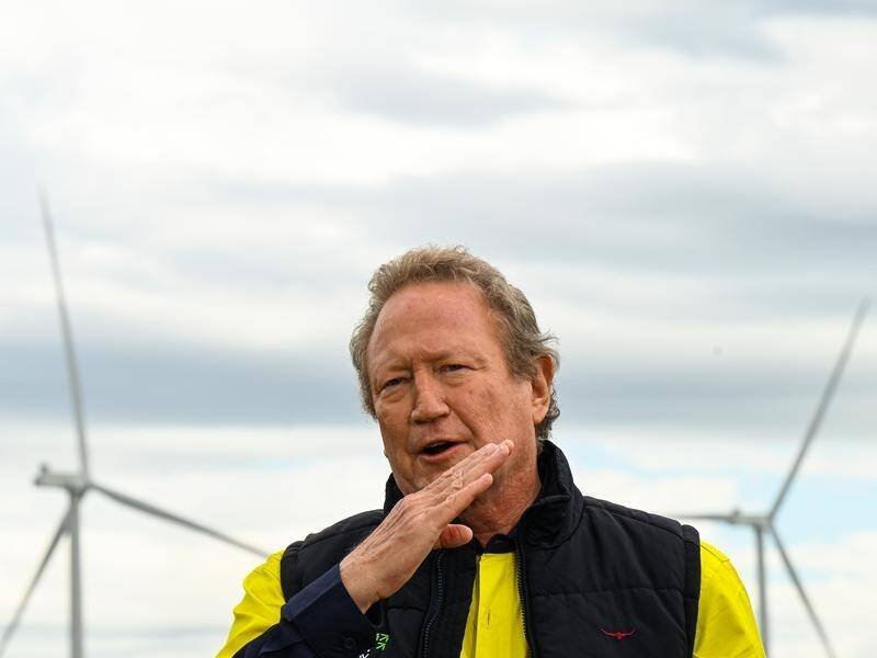 Tragedy Mars 'Twiggy' Forrest's $1 Billion Queensland Wind Farm Launch second image