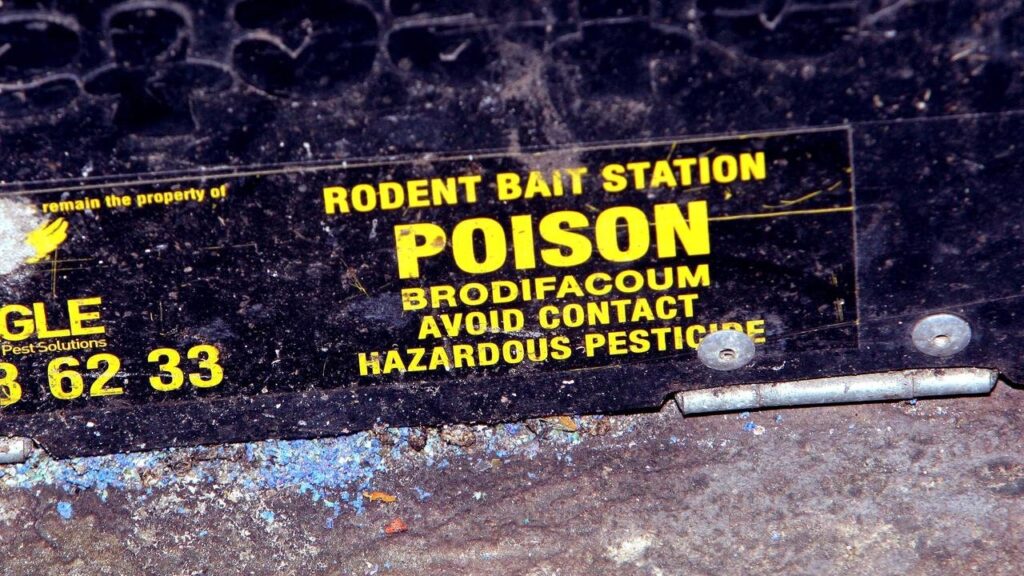 Rat Poison Horror: Five Hospitalised in Mysterious Queensland Outbreak