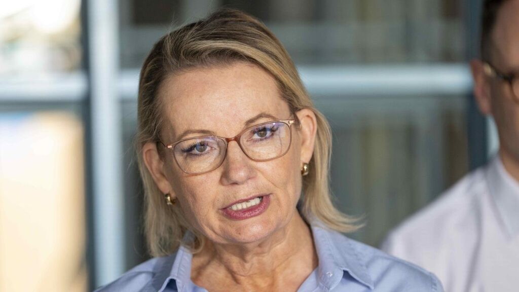 Sussan Ley Fumes as Government Blocks Her Visit to Dying Aluminium Smelter
