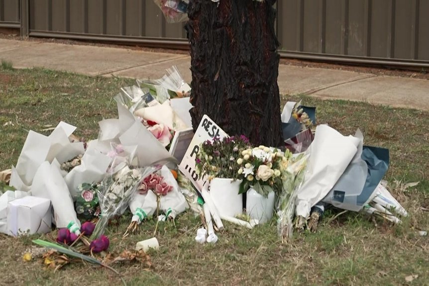 Melbourne Teen Murders Tied to Deadly Youth Gang Feud