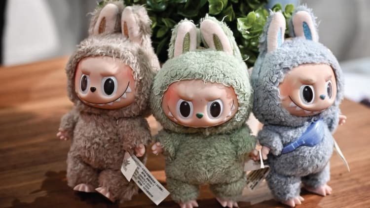 $9,000 Haul of Stolen Labubu Dolls Seized in Melbourne Raid second image