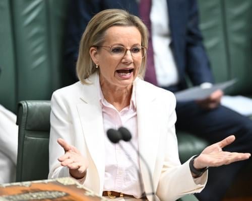 Sussan Ley Fumes as Government Blocks Her Visit to Dying Aluminium Smelter second image
