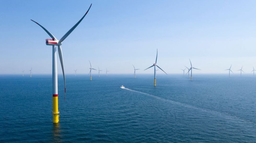 Greens Leader 'doesn't Know Very Much' About Wind Farm Opposed By Colleagues second image