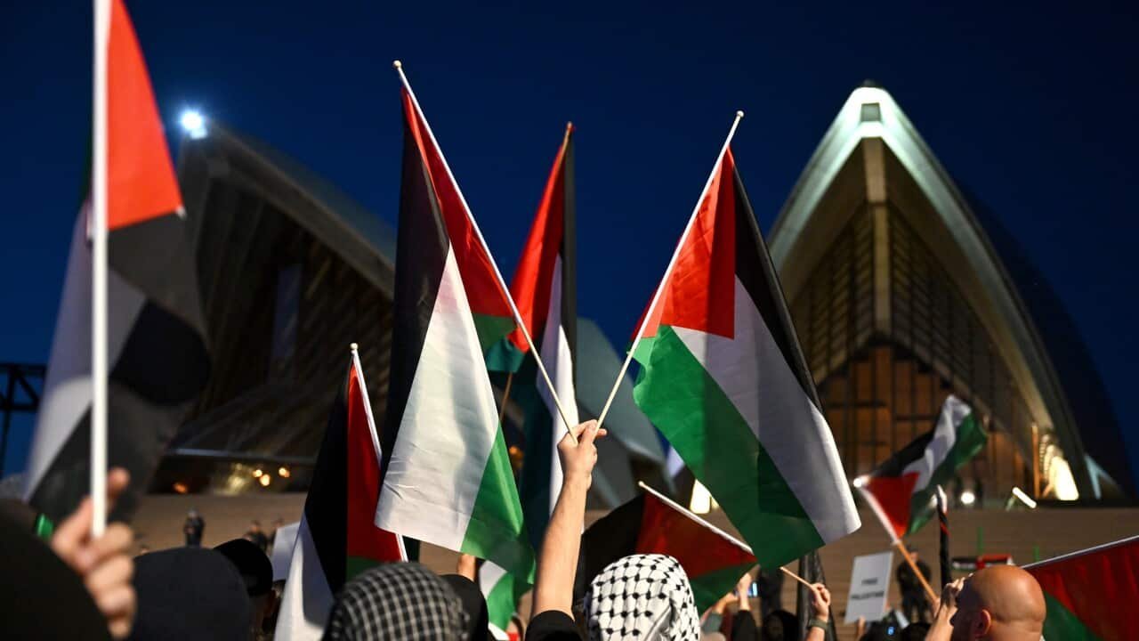 Sydney Opera House March Sparks Disaster Fears second image