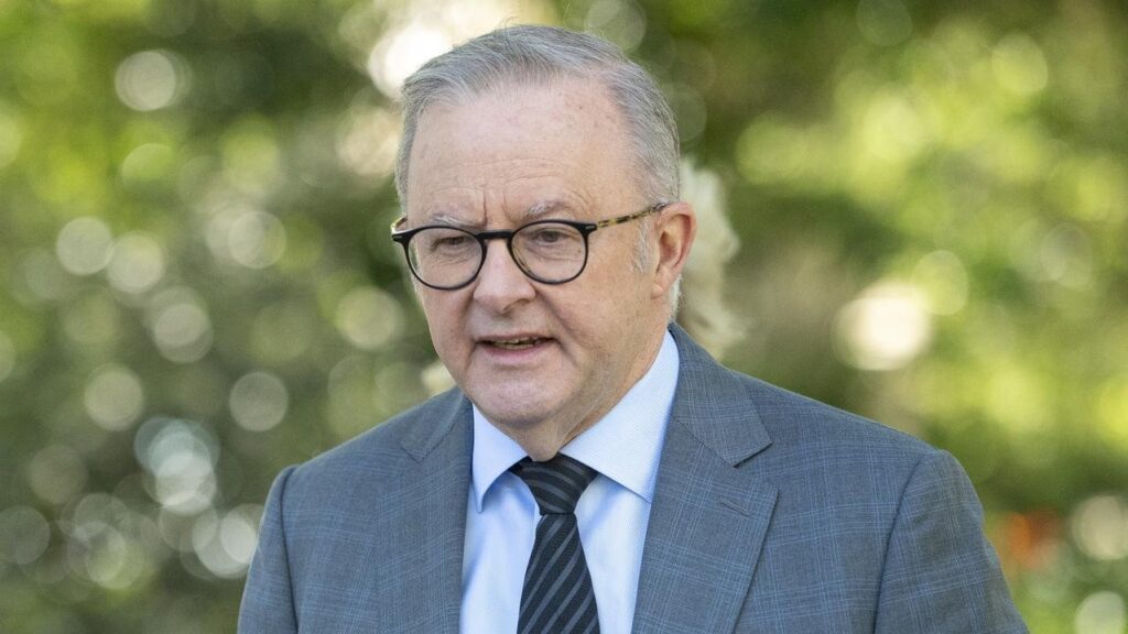 Albanese wants quick fix to Chinese ban on Aussie Export