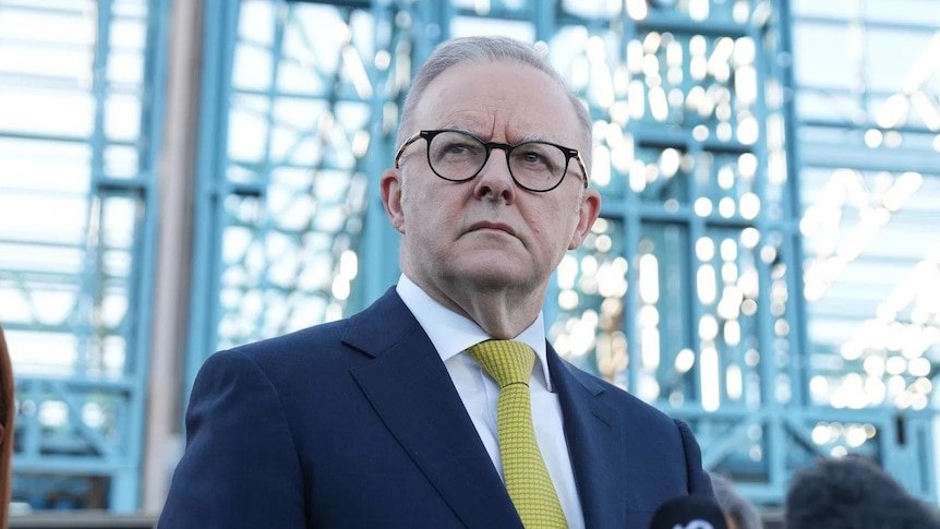 Albanese 'concerned' By Reports Of Chinese Ban On Bhp Iron Ore Imports second image