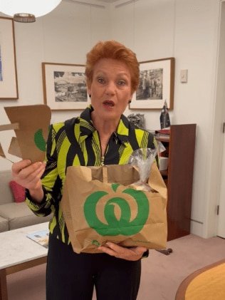 Hanson Slams Aussie Supermarkets Over 'Rip-Off' Paper Bags Fury second image