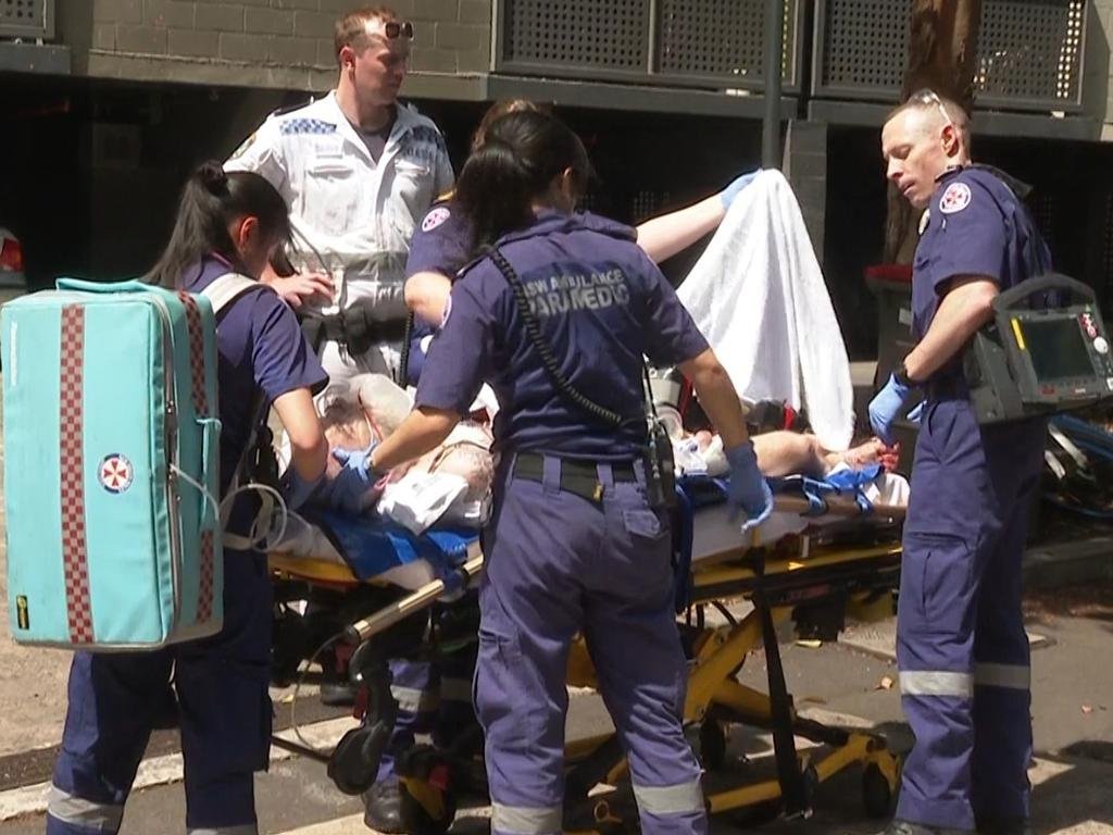 Man Savagely Maulled by Own Rampaging Staffordshire Bull Terrier in Camperdown Horror second image