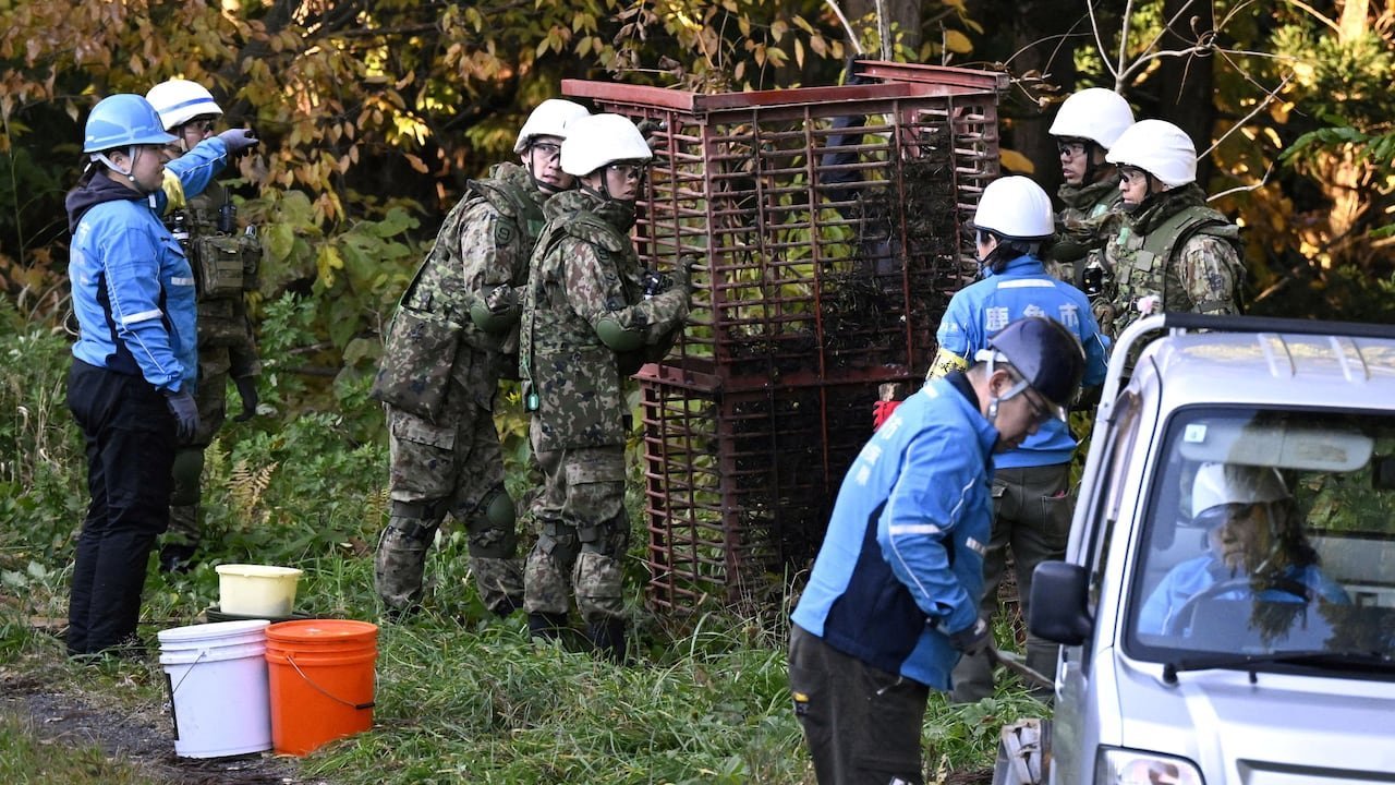 TROOPS DEPLOYED TO TAME SAVAGE JAPAN BEARS AFTER RECORD 12 DEATHS second image