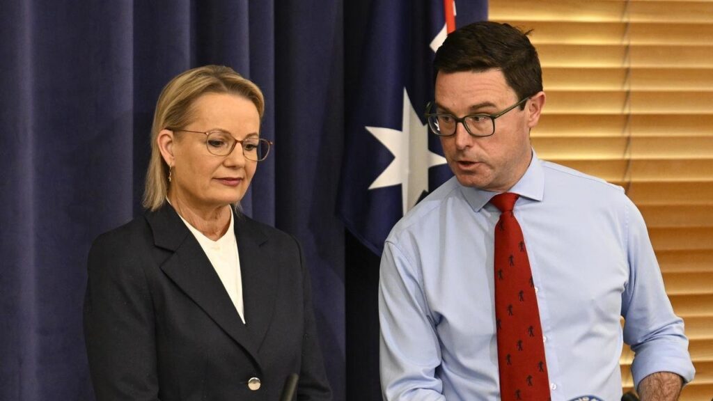 Nationals Abandon Net Zero Amid Economic Fears