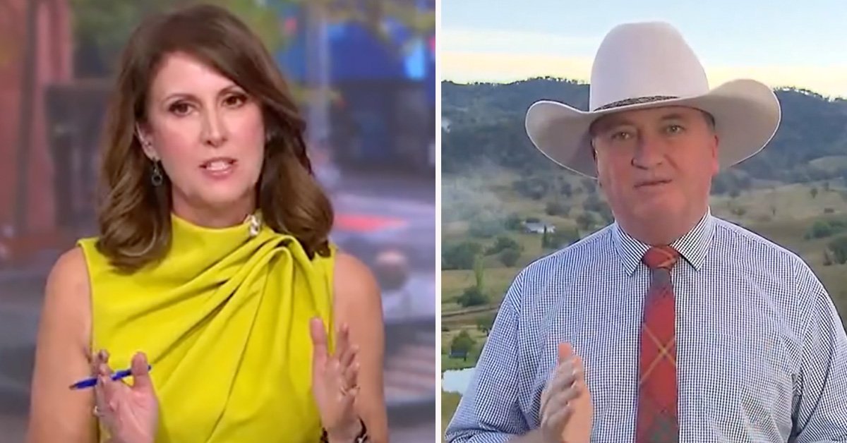 Barnaby Joyce Slams Party, Threatens to Defect Amid Net Zero Fallout second image