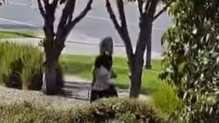 GUNMAN ON LOOSE Man Runs for Life with Bleeding Arm in Melbourne Suburb second image