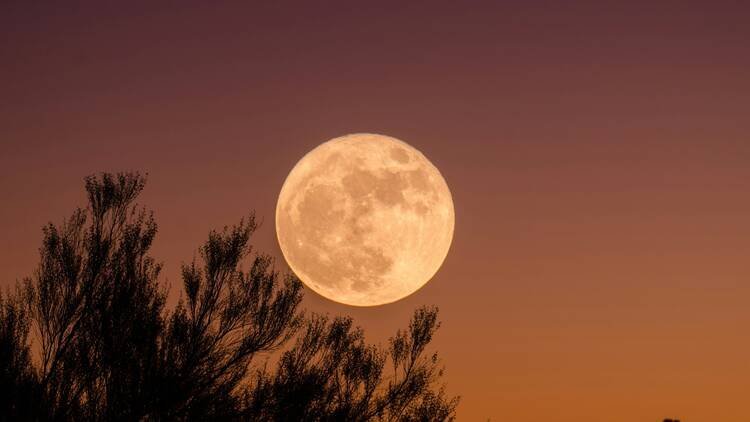 Australia Awaits Biggest Supermoon of 2025 Wednesday Night Spectacle second image