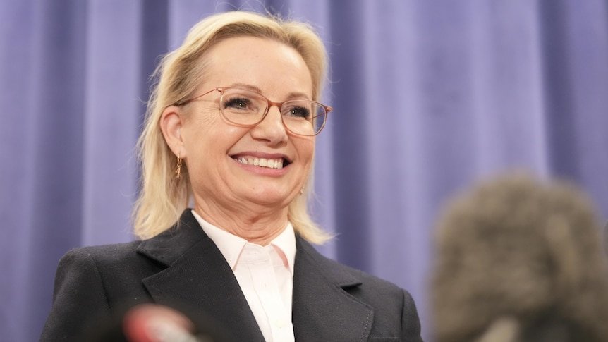 Sussan Ley's Leadership on Brink of Collapse Amid Climate Policy Chaos second image