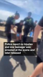 Teen Brawlers Wreak Havoc at Mordialloc Beach in Brutal Assault second image