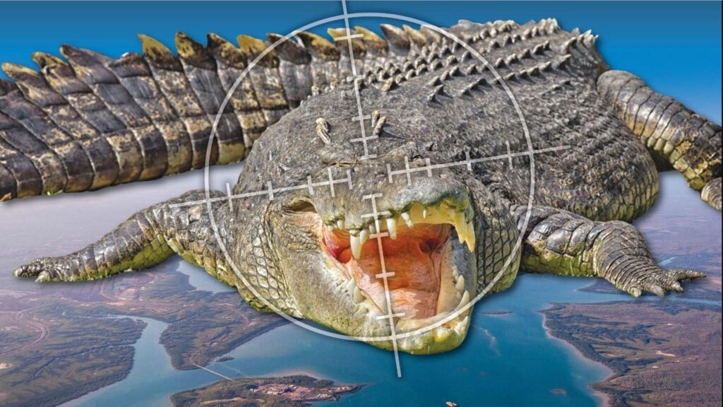 Crocodile-Infested Waters Claim Unidentified Body in Darwin Harbour