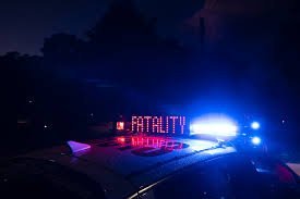 Young Man Dies in Horror Crash on Donald-Stawell Rd After Car Slams Trees second image