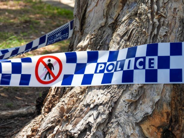 GUNMAN ON THE LOOSE Desperate Search Unfolds at Bondi Beach Amid Shooter Alert second image