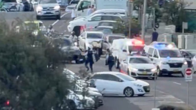 Bondi Beach Massacre Chaos Erupts as Gunman Kills Multiple in Bloody Rampage second image