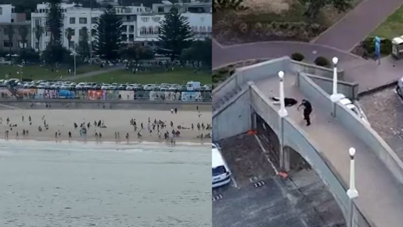 Bondi Bloodbath Father-Son Terror Duo Kills 15, Injures 40 in Chanukah Horror second image