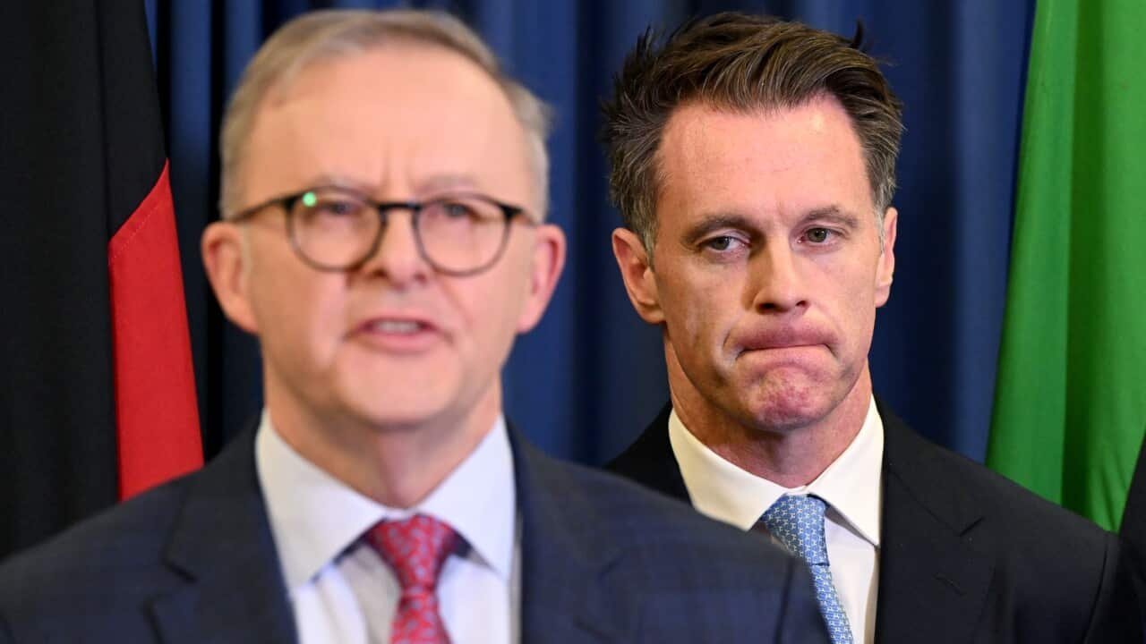 Minns Slams Albanese Over Antisemitism Crisis second image