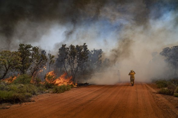 Perth's South Ablaze 100 Firefighters Battle Out-of-Control Blaze - Second Image