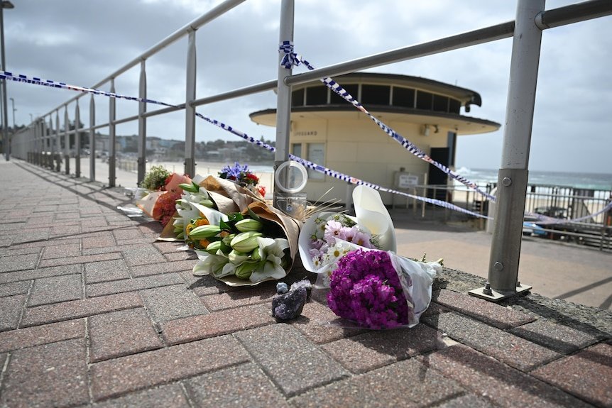 Bloodbath at Bondi 15 Dead in Brutal Hanukkah Massacre second image