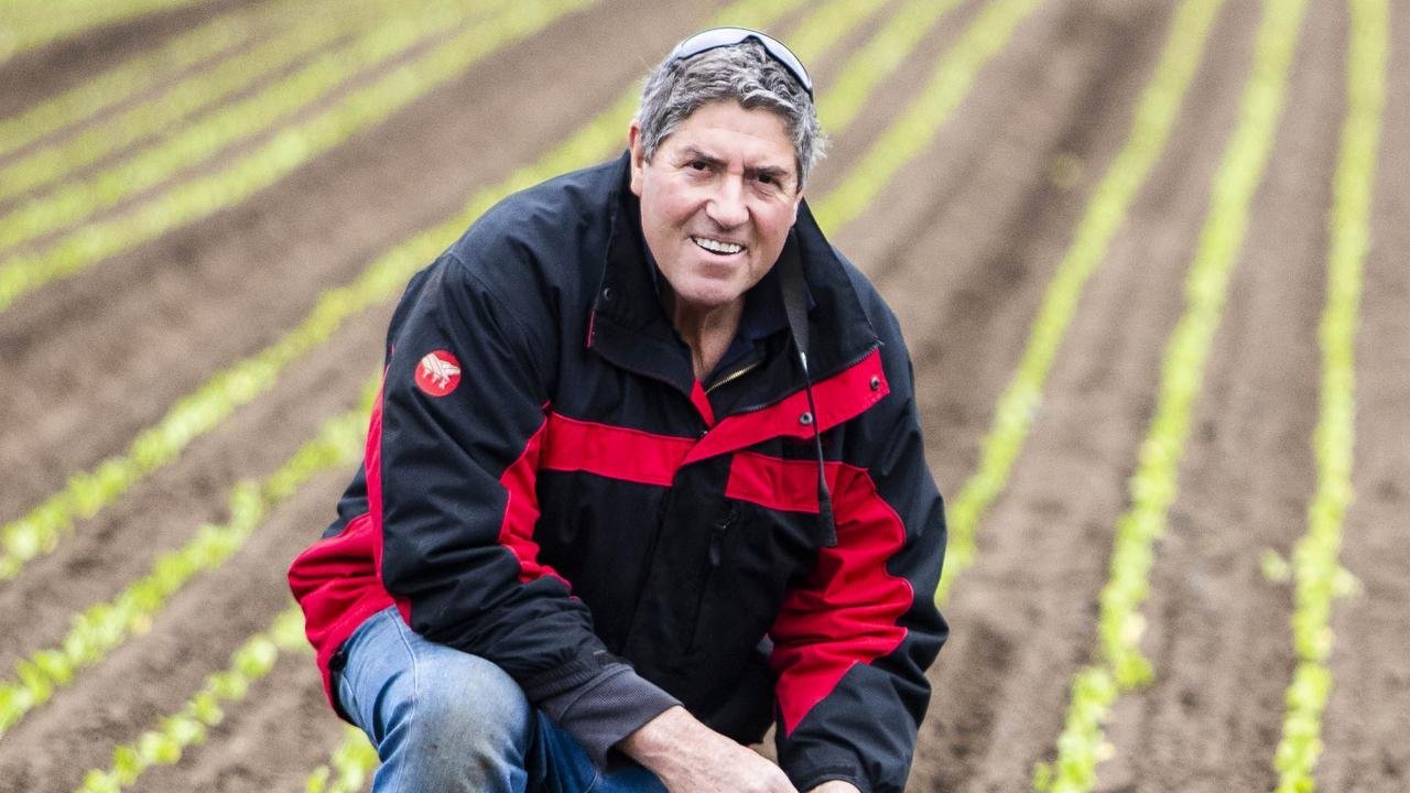 $645,000 Wage Scam Exposed at Eastern Victorian VEGGIE Farm second image