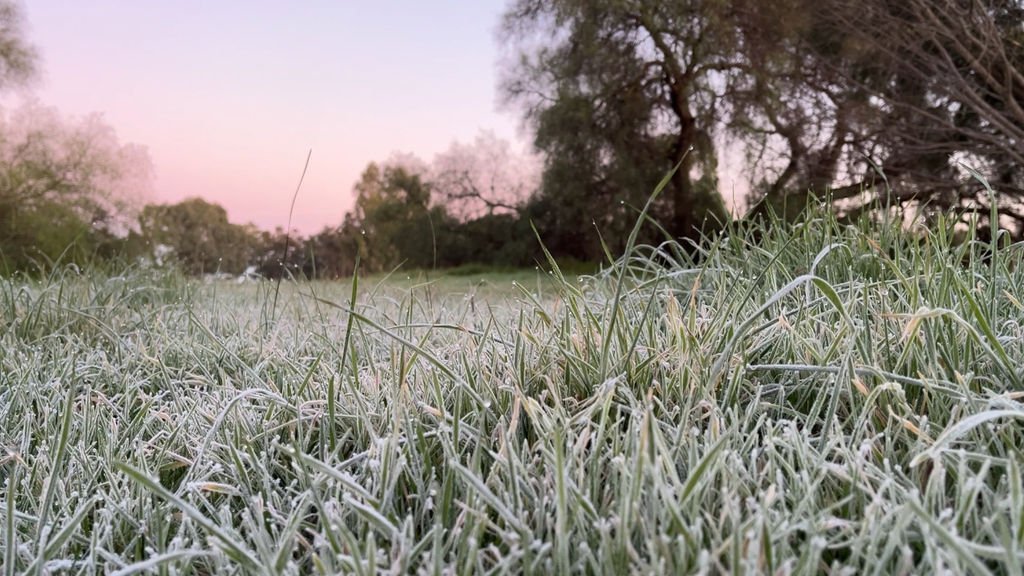 SNOW Hits Victoria's Alpine Region in Record Cold December Blast second image