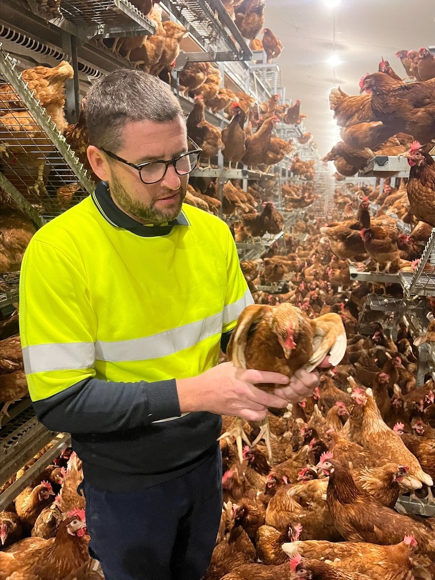 BIRD FLU APOCALYPSE HITS SCOTLAND, Experts Warn Australia second image